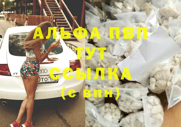 мяу мяу мука Баксан