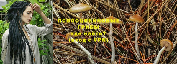 винт Балахна